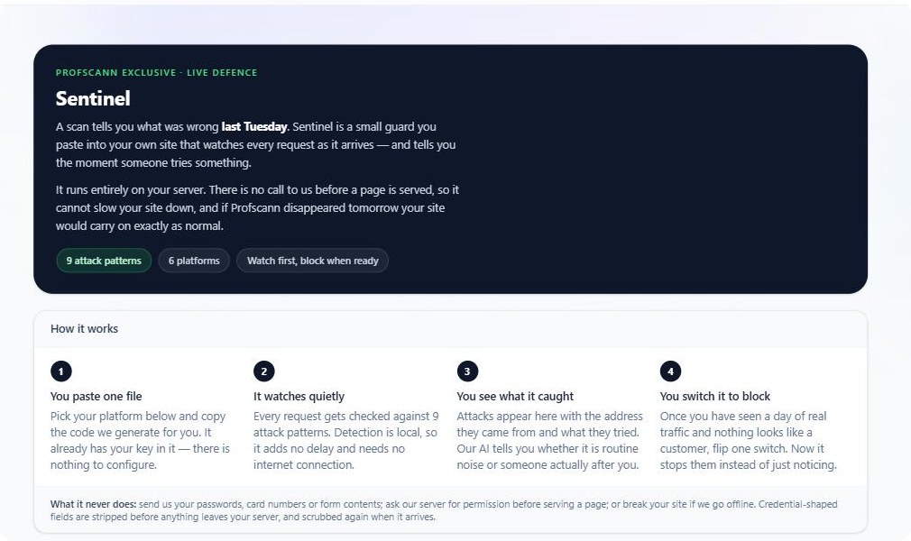 The Profscann Sentinel page showing setup steps and attack pattern count